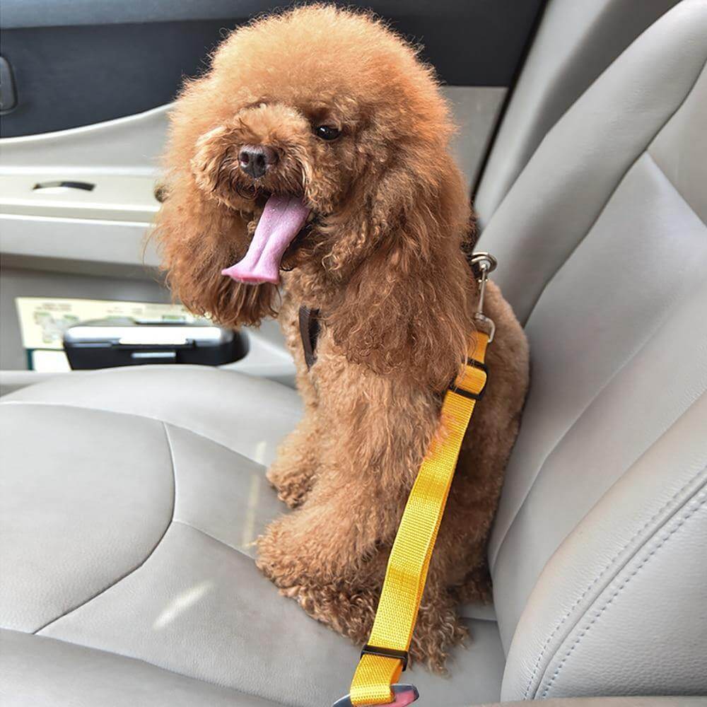 Adjustable Car Pet Safety Belt - Image 2