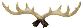 Antlers Decorated Coat Hook - Image 3