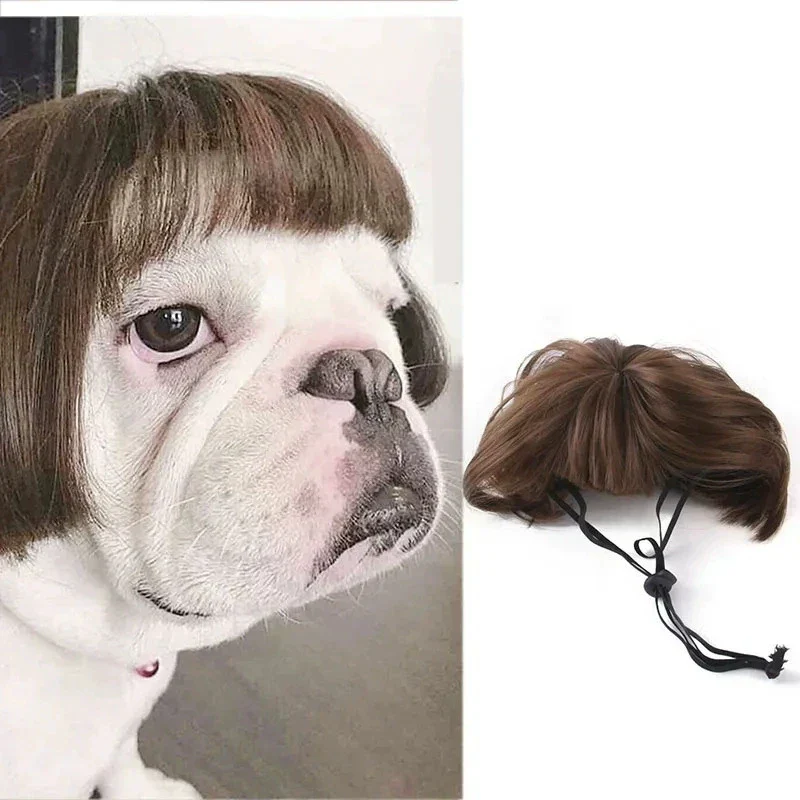 Auntie Style Funny Pet Wig - Image 6