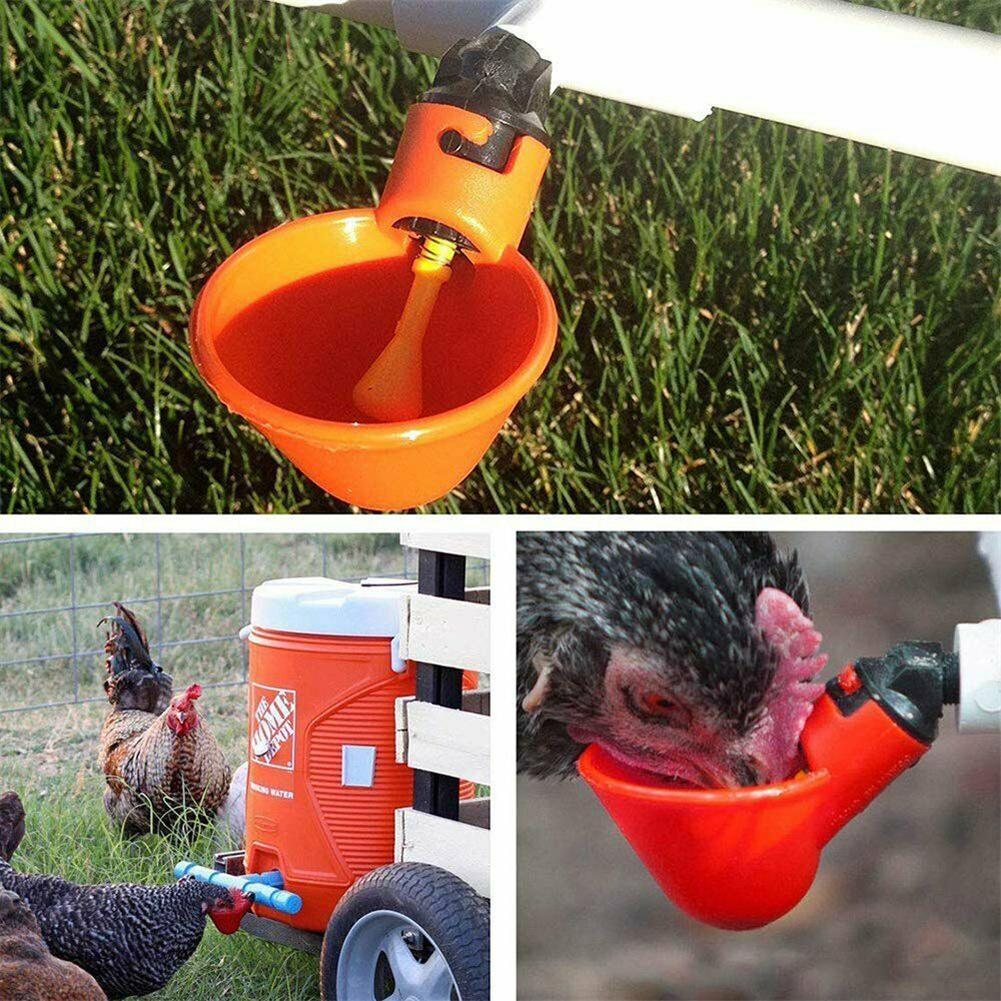 Automatic Farm Animal Water Dispenser Set - Image 5