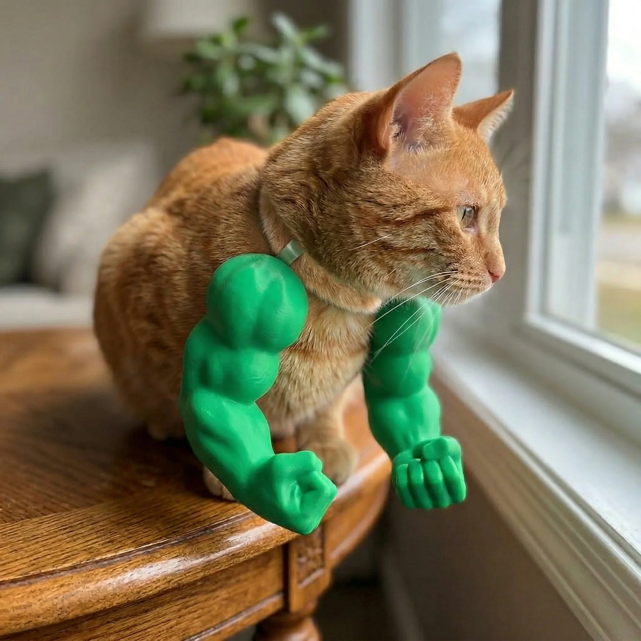 Body Builder Neck Hanging Pet Toy - Image 3