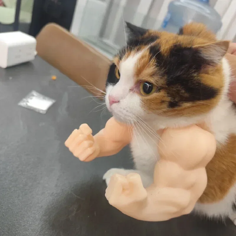 Body Builder Neck Hanging Pet Toy - Image 4