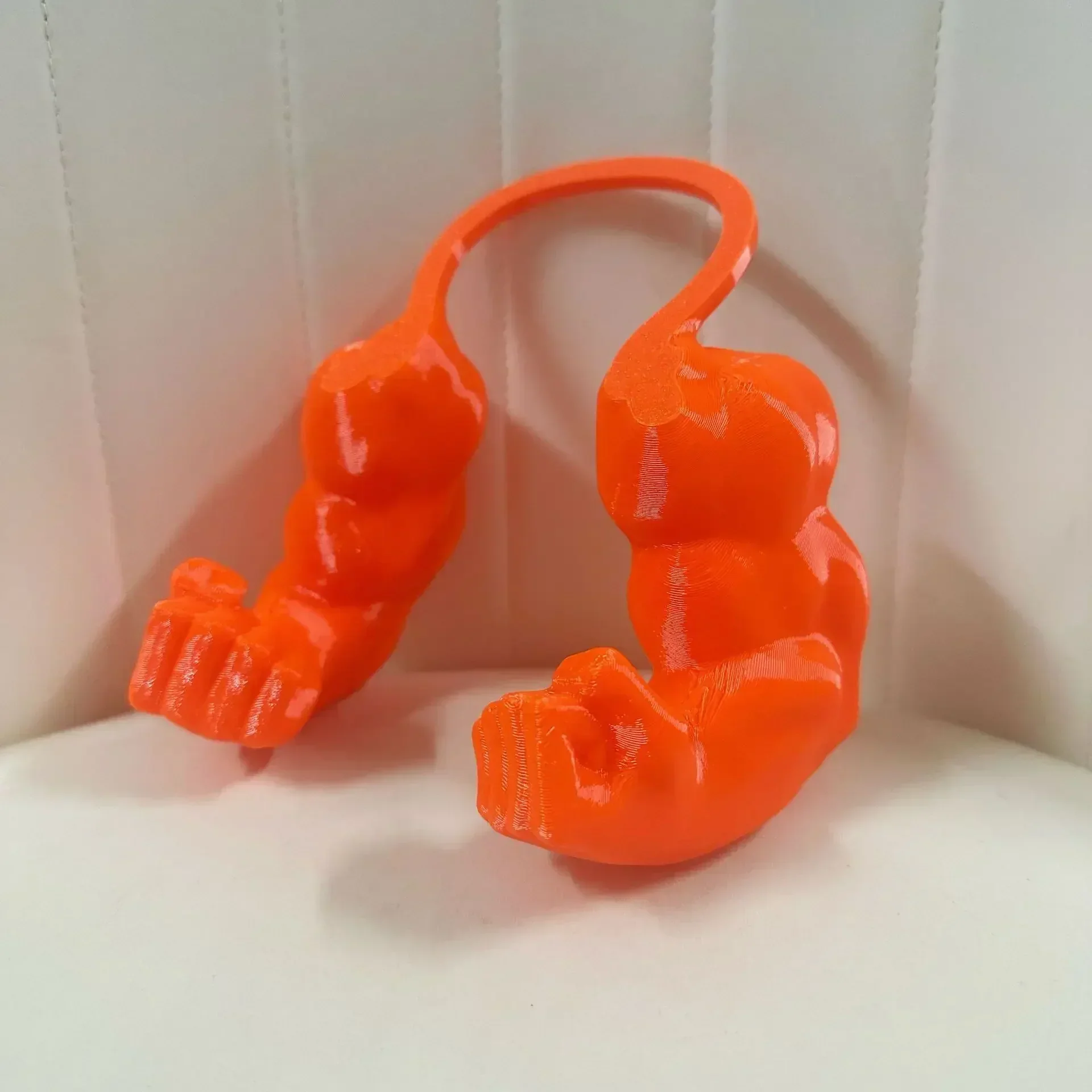 Body Builder Neck Hanging Pet Toy - Image 6