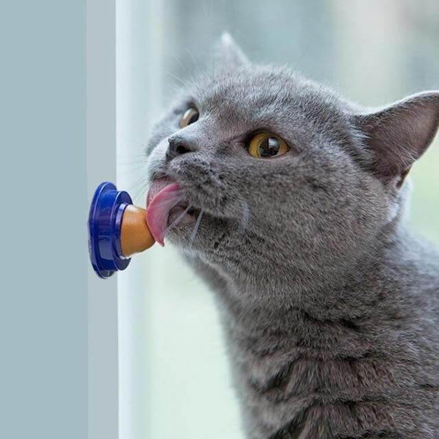 Cat Snacks Licking Tool - Image 2