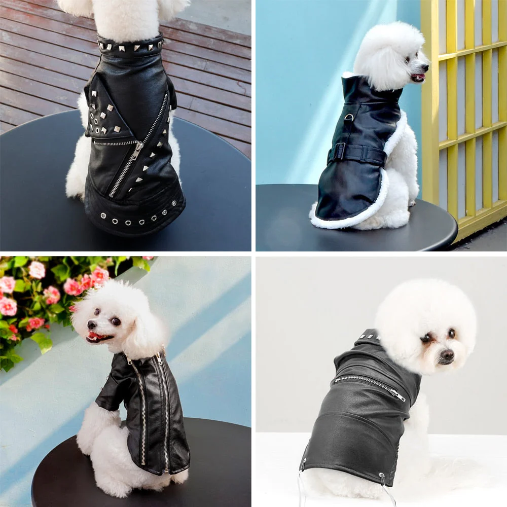 Cool Cute Leather Pet Jacket - Image 2