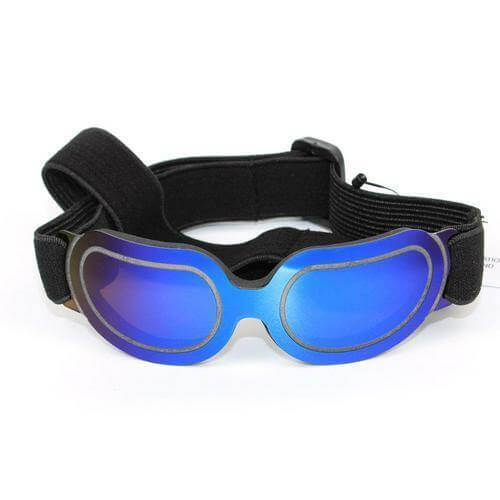 Cool Pet Fashion Helmet & Riding Cap - Image 11
