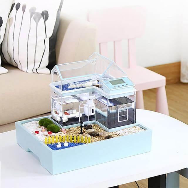 Creative Ecological Mini Fish Tanks - Image 2
