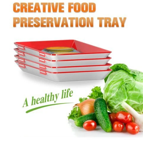 Creative Thin Food Storage Tray - Image 9