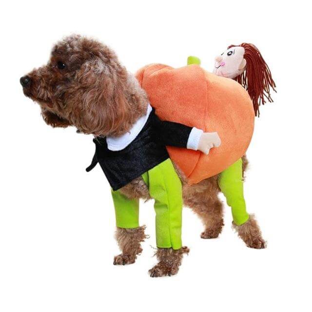 Dog Pumpkin Costume - Image 6