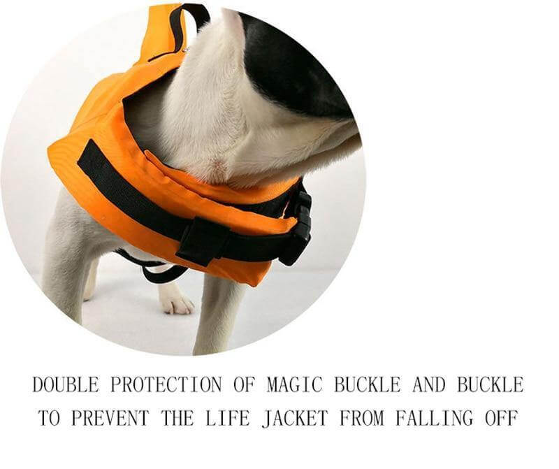 Dog Shark Pet Swimming Life Jacket - Image 5
