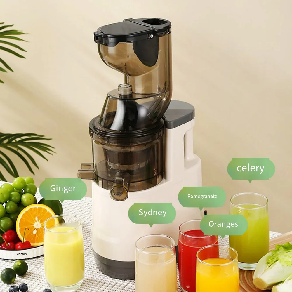Electric Masticating Quick Vitamin Juicer Machine - Image 3