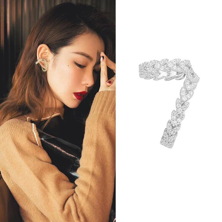 Elegant Zircon Crystal Clip-On Earrings - Image 2