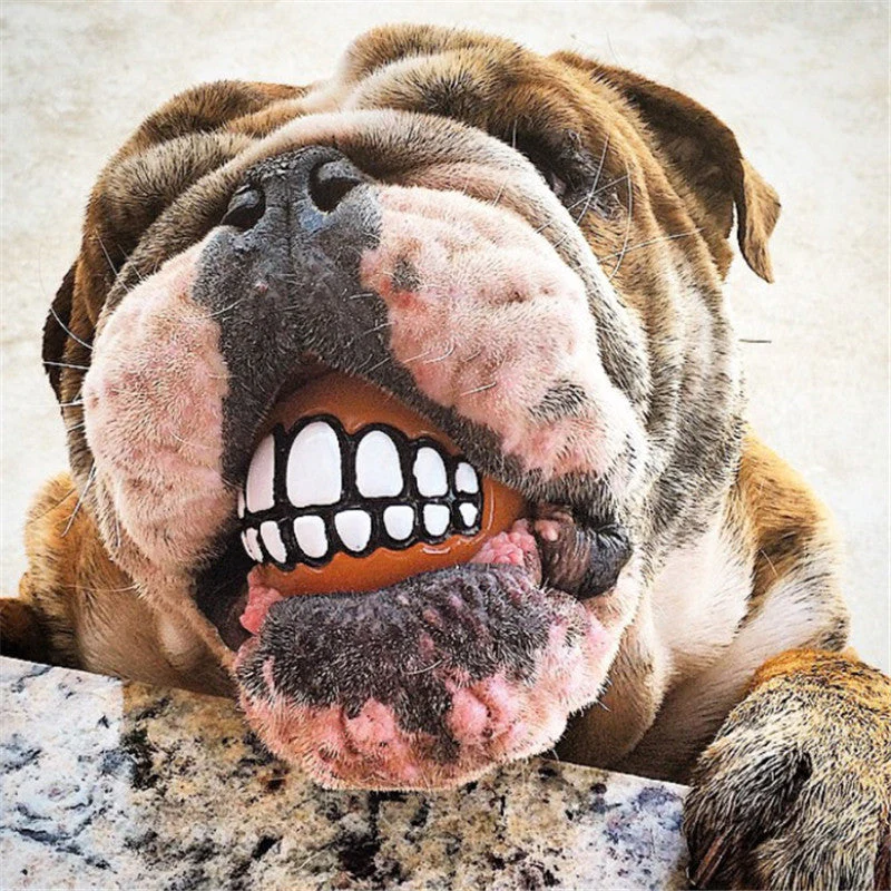 Funny Smile Rubber Pet Chew Toys - Image 2