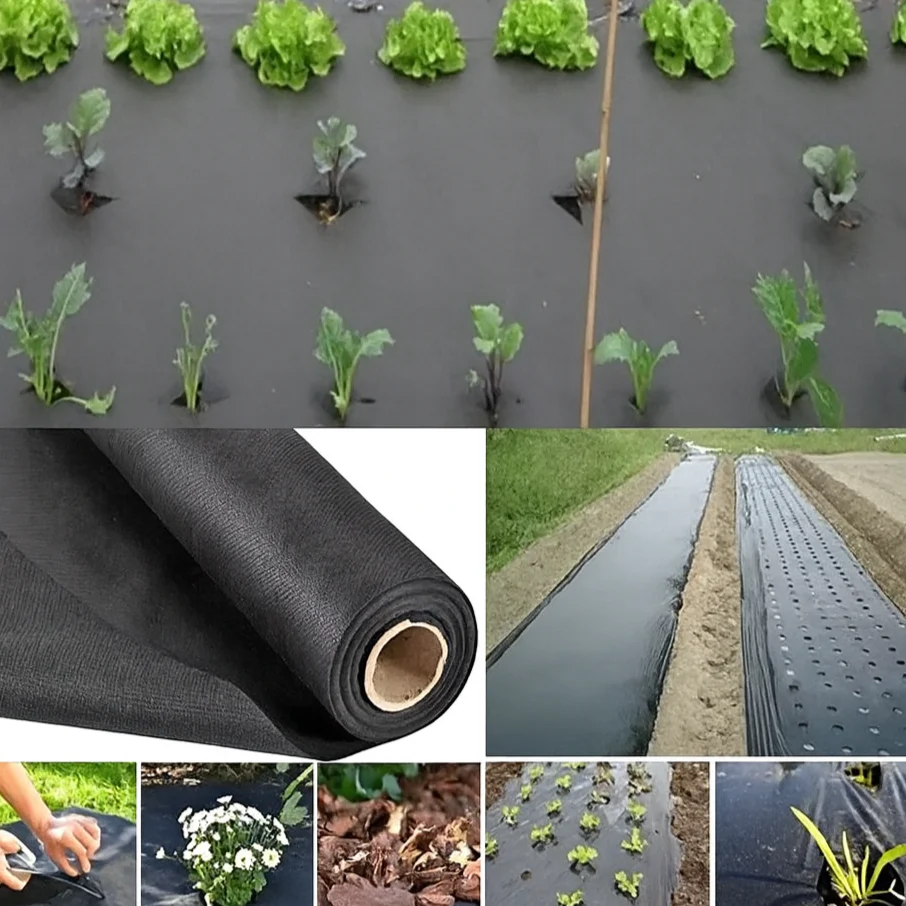Garden Ground Cover Long-Lasting Anti-grass Fabric - Image 7