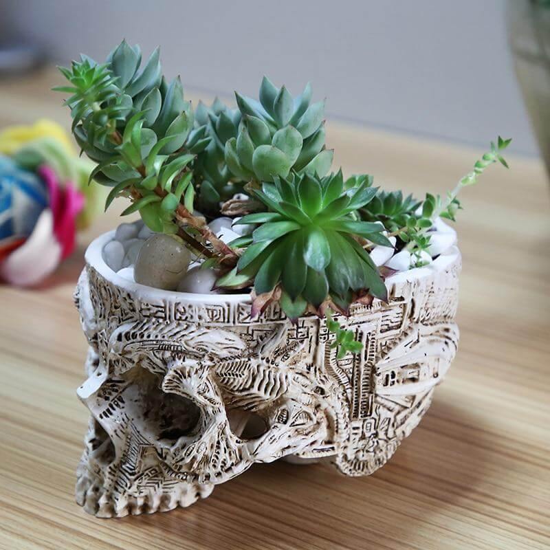 Hand Carved Skull Flower Pot Home Decoration - Image 2