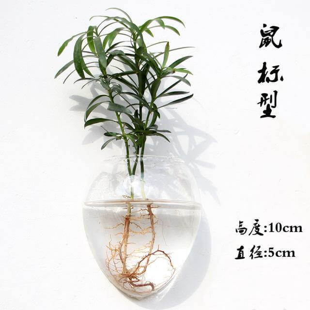 Handmade  New Hexagonal  Wall Clear Terrarium Vase - Image 4