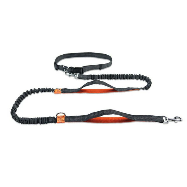 Hands-Free Elastic Waist Dog Leash - Image 7