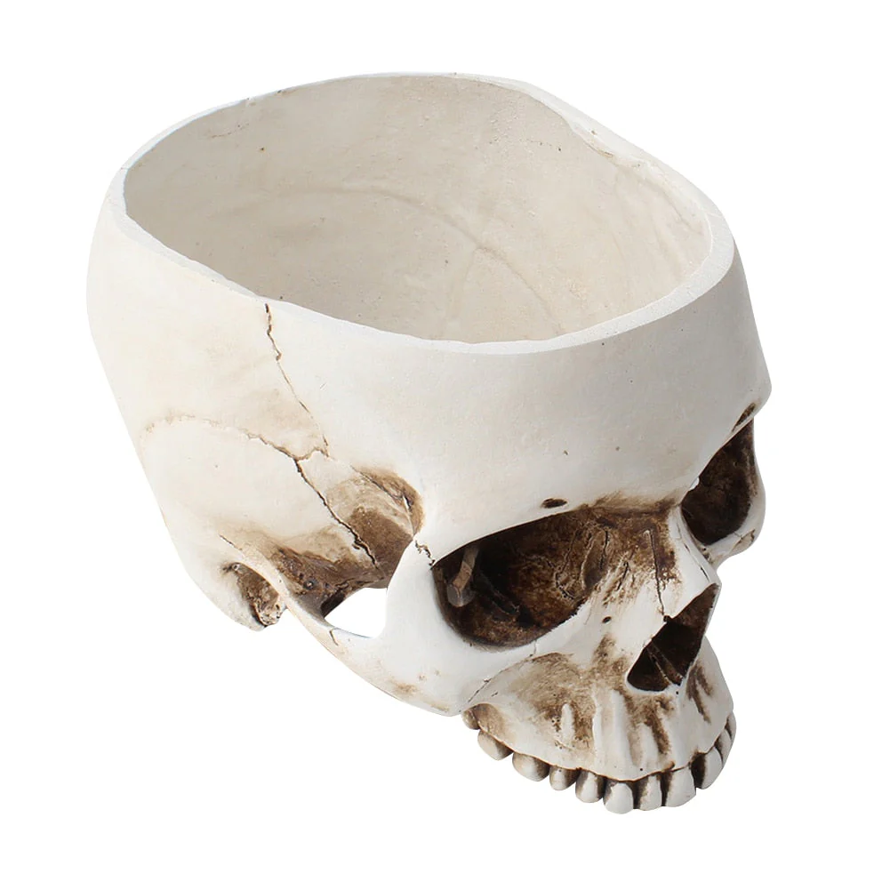 Impressive Realistic Skull Flower Vase - Image 2