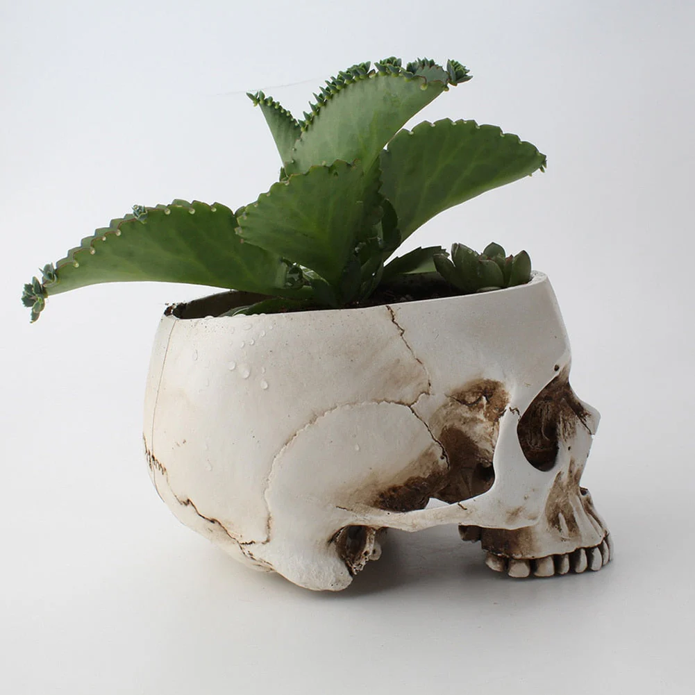 Impressive Realistic Skull Flower Vase - Image 5