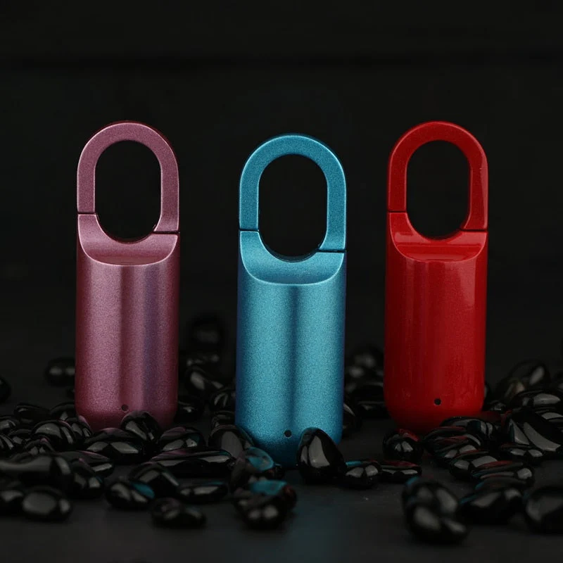 Mini Electronic USB Fingerprint Padlock - Image 3
