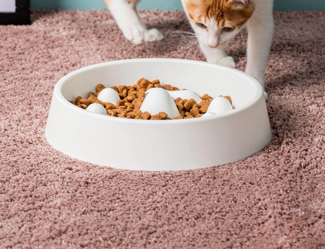 Modern Pet Slow Food Bowl - Image 9