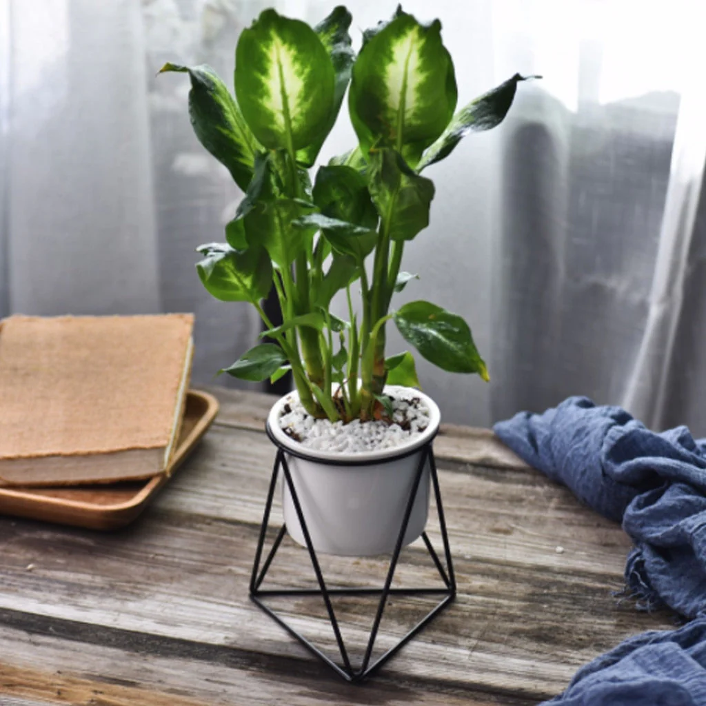 Nordic Style Geometric Iron Rack Flower Pots - Image 5
