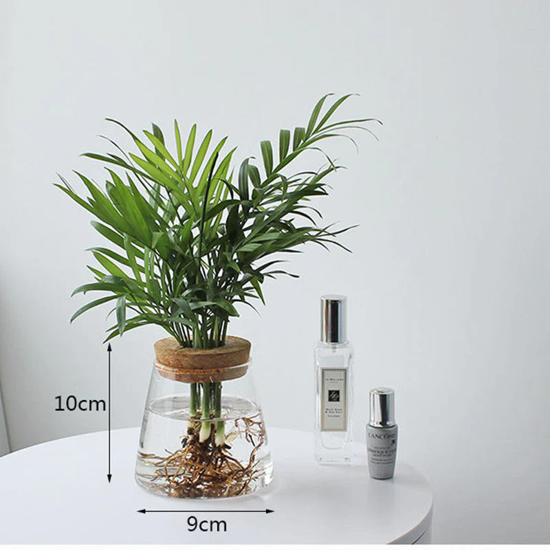 Nordic Transparent Glass Wooden Flower Vase - Image 4
