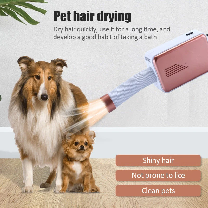 Portable Electric Fan Rotating Dryer - Image 4
