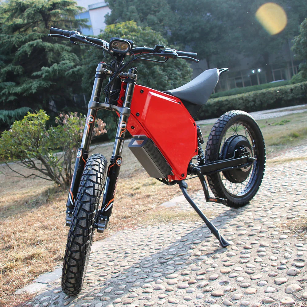 Powerful Mountain Beast Off-Road Adventure Electric Bike - Image 6