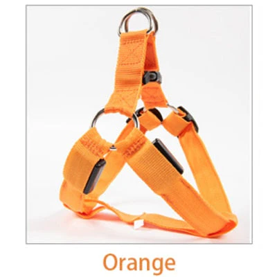 Rechargeable Luminous LED Dog Leash - Image 12