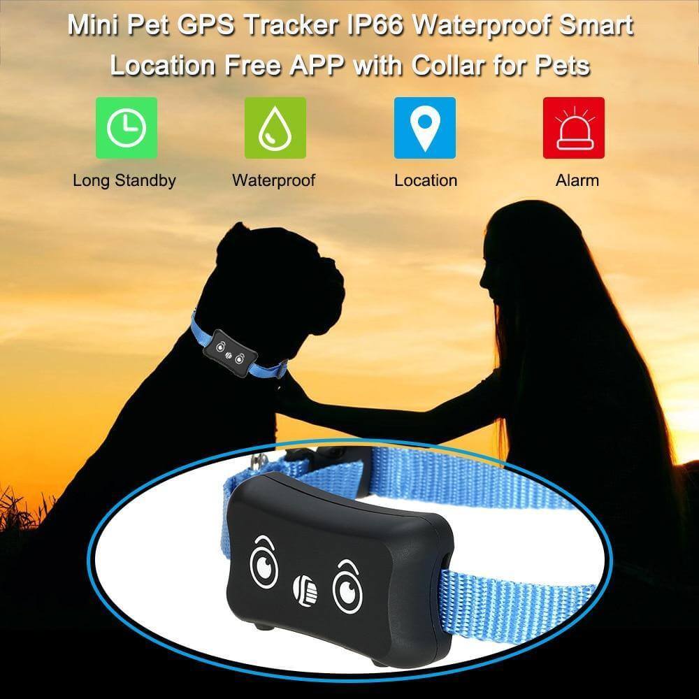 Waterproof GPS Pet Tracking Collar - Image 9